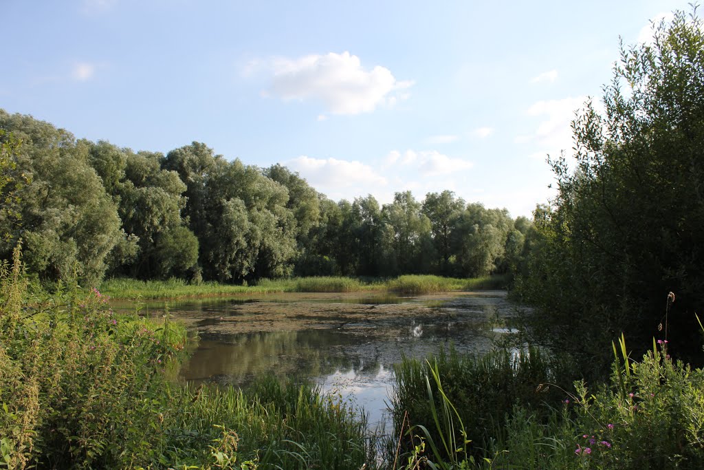 nature