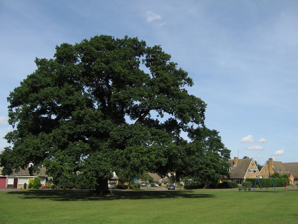 Carlton Park