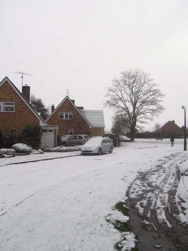 Carlton: Snow
