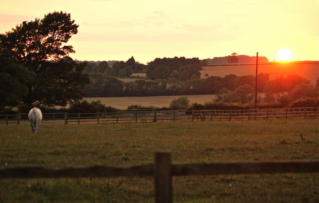 Silver & Gold at Carlton Hall Farm