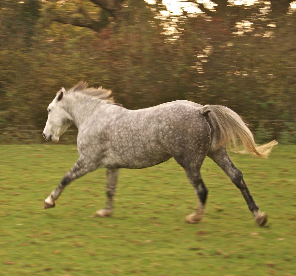 Misty on the Move