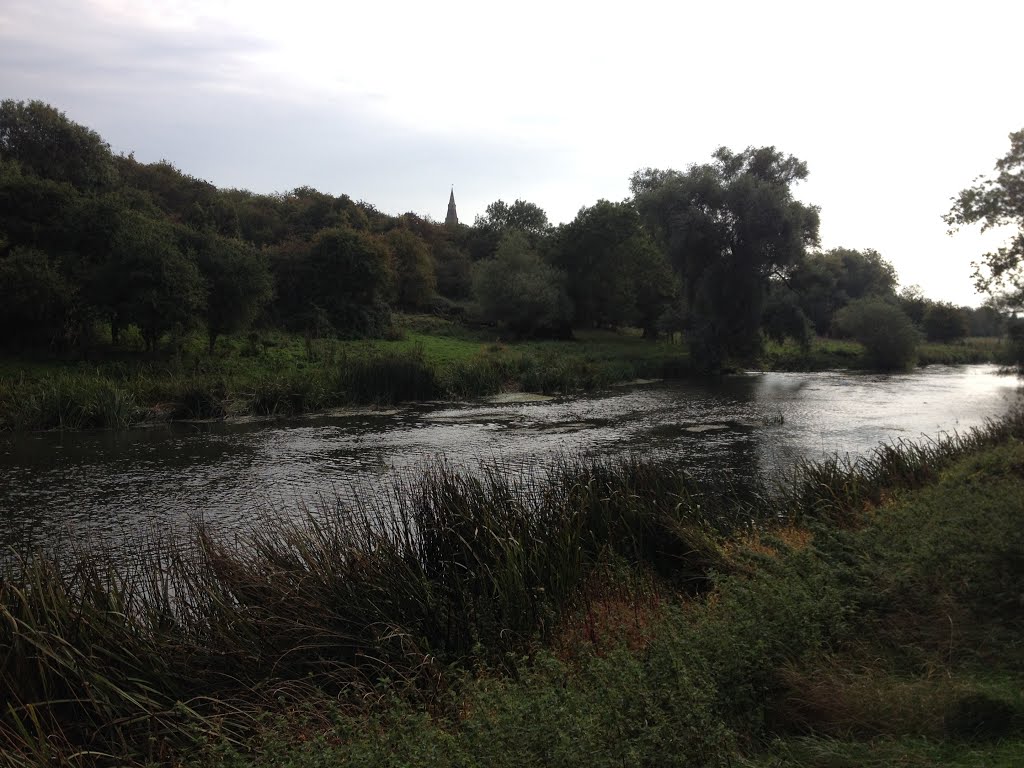 River Great Ouse near Harrold-Odell Country Park