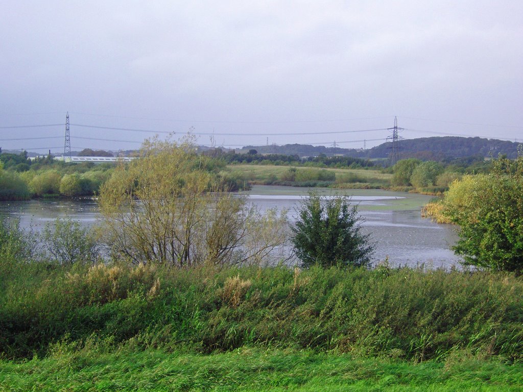 Fairburn Ings, Near Castleford