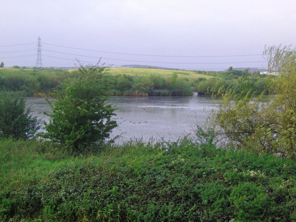 Fairburn Ings, Near Castleford