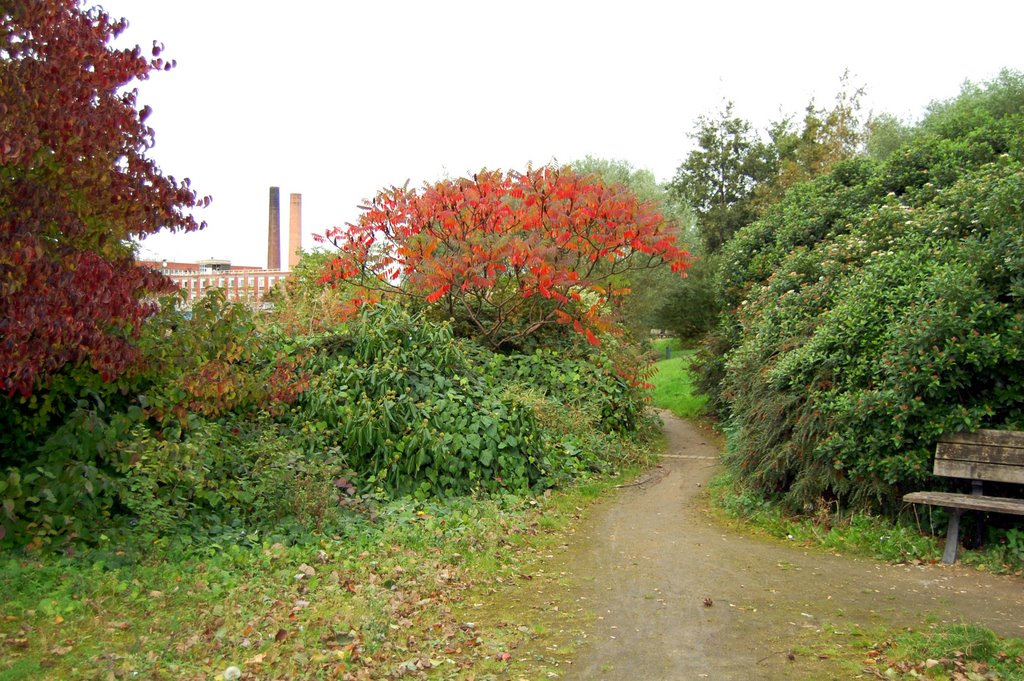 Wheldon Road, Castleford