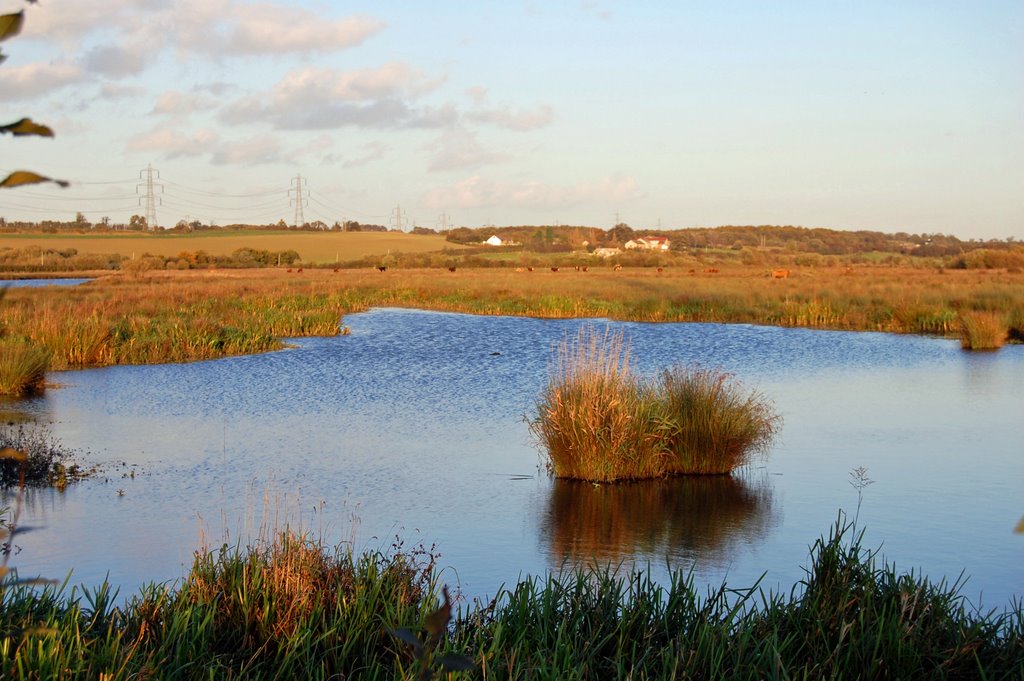Fairburn Ings