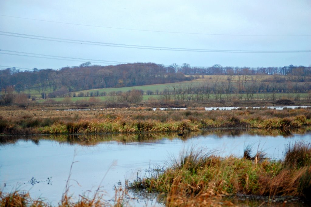 Fairburn Ings