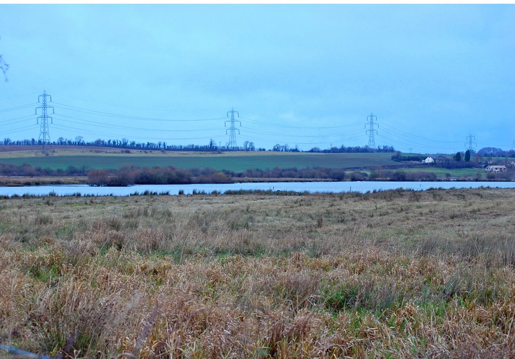 Fairburn Ings