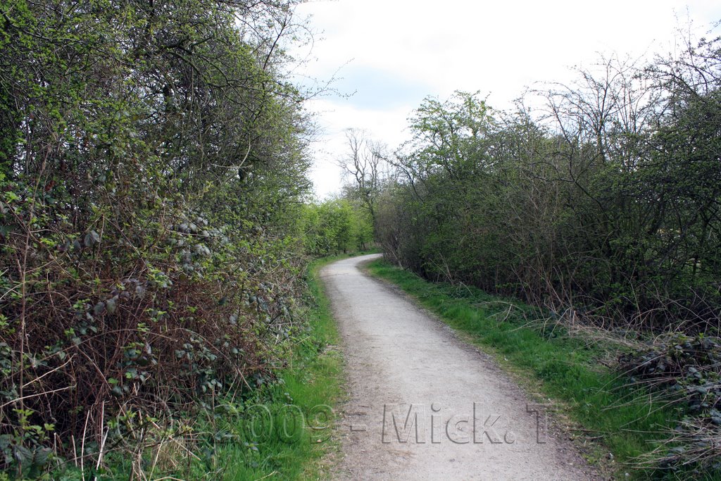 Arrow Lane & Lin Dike