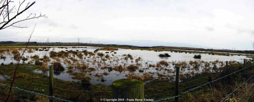 Fairburn Ings Nature RSPB Reserve from Linn Dike