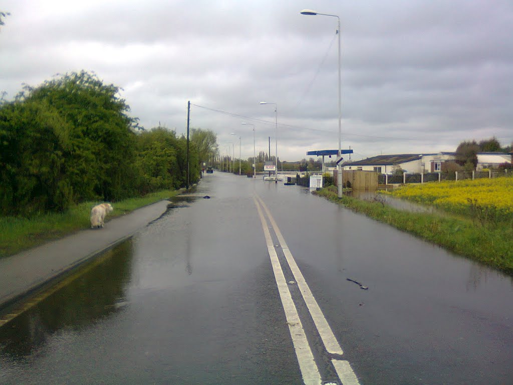 Allerton ByWATER