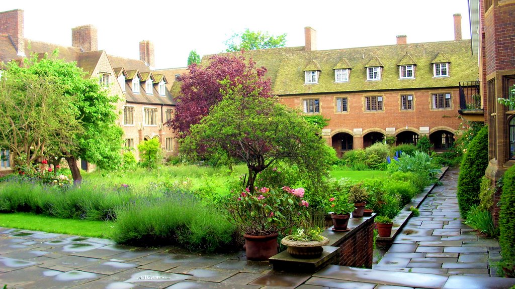 Colourful garden, Cambridge