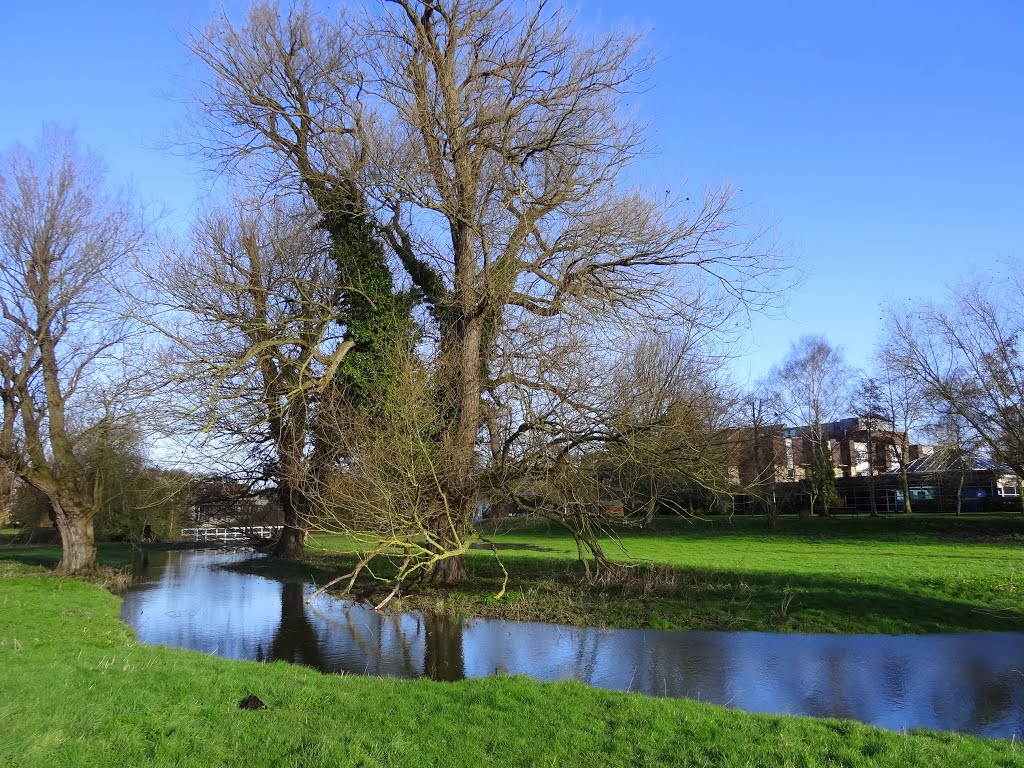 Sunny day at Coe Fen