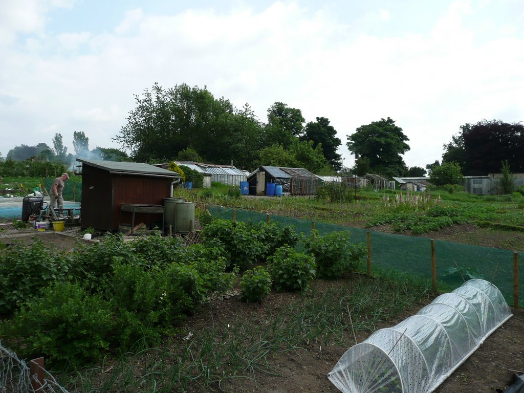 allotments