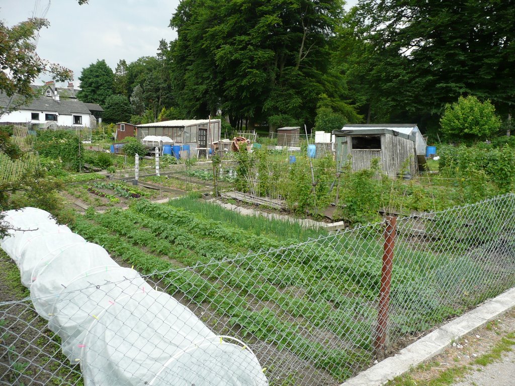 allotments