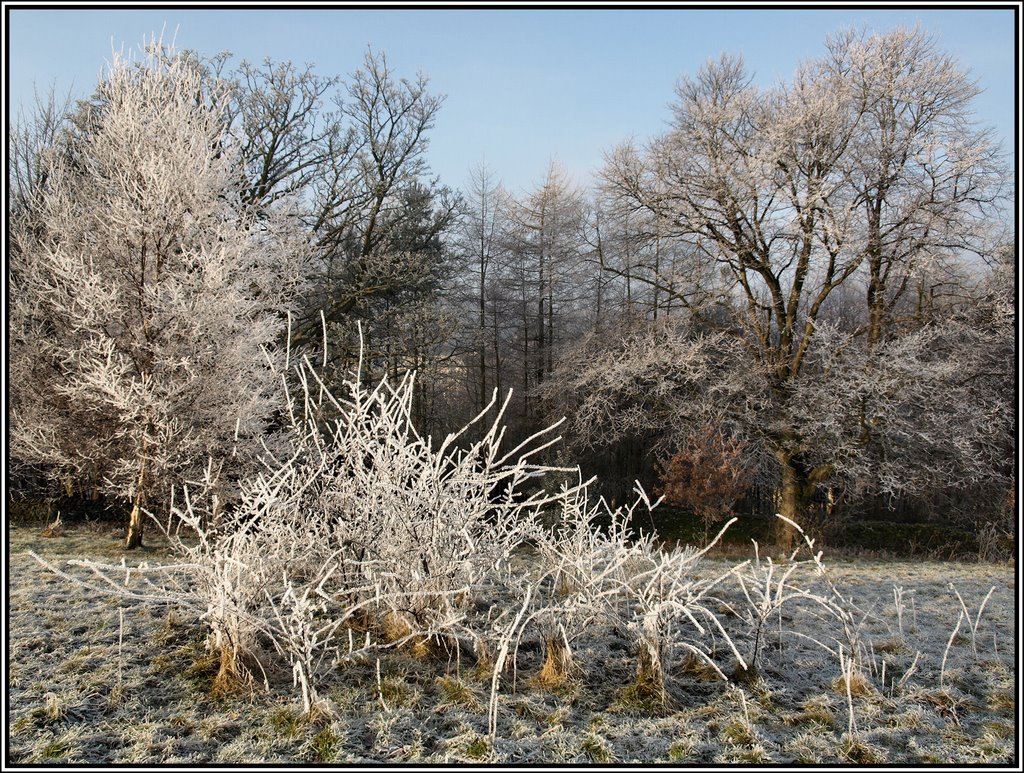 Winters frosty mantle