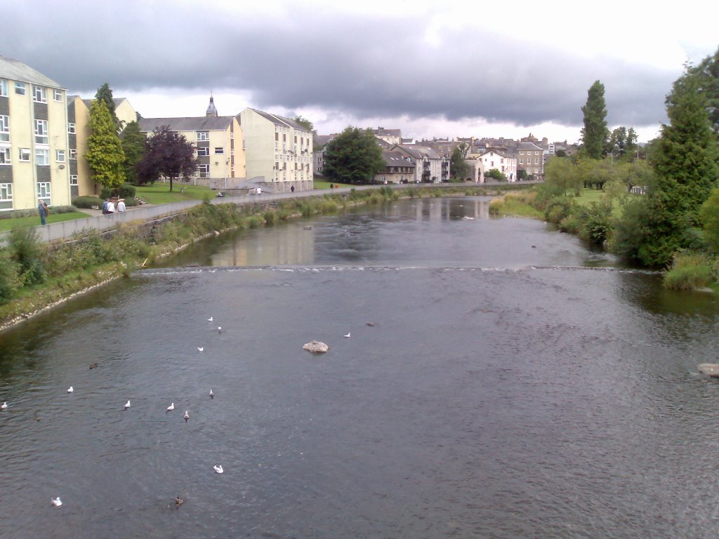 kendal 8