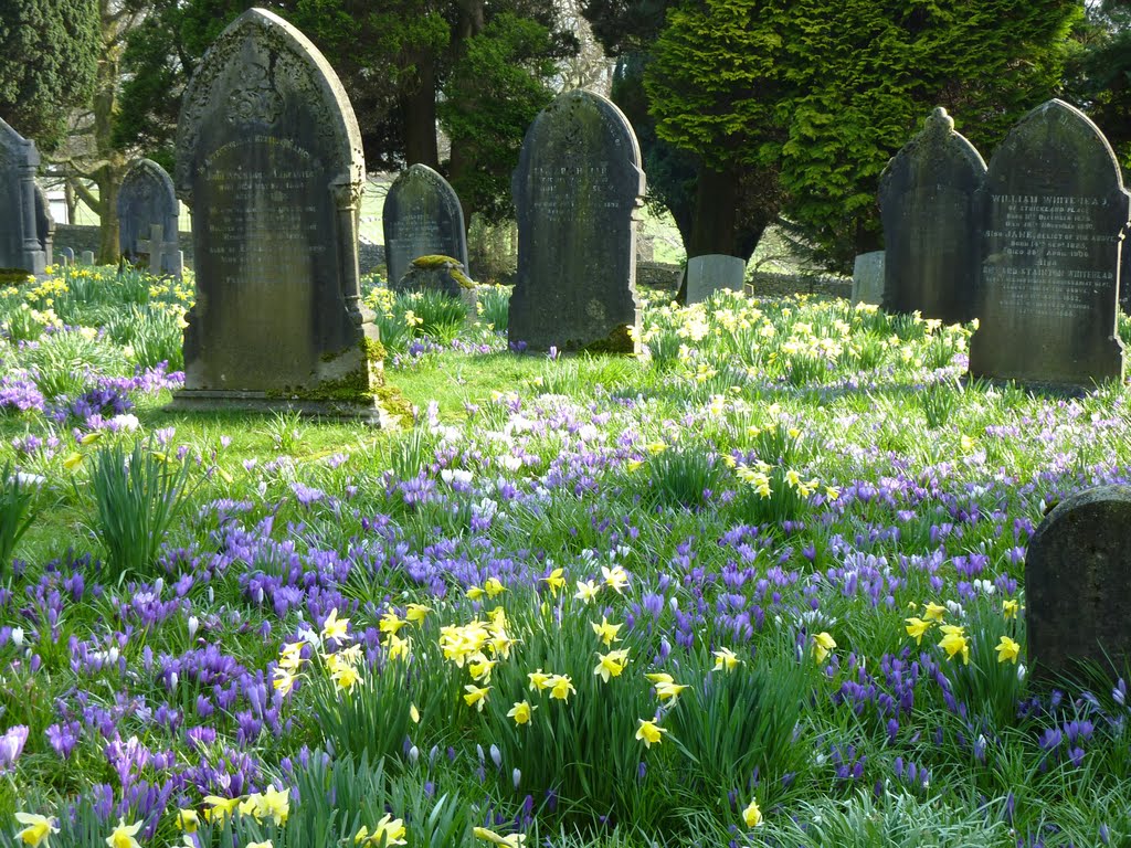 Kendal Cemetery in the Spring.