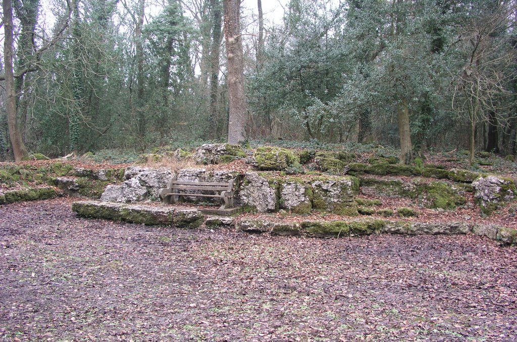 Serpentine Woods Fairy Circle