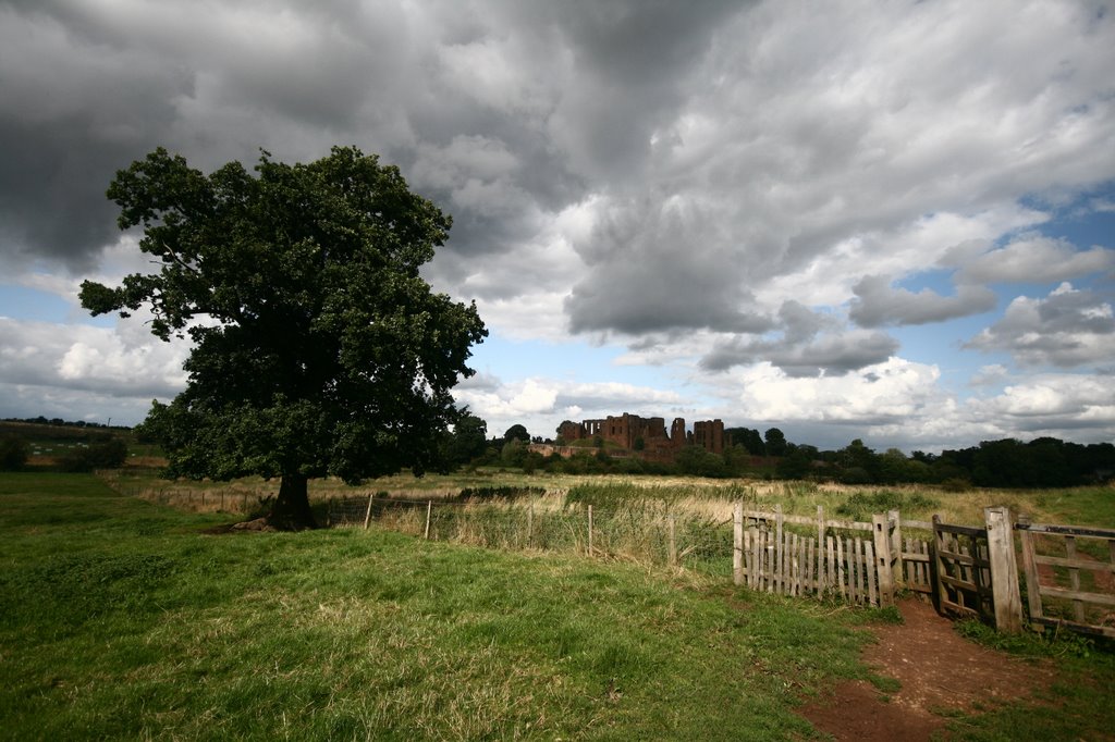 Kenilworth Castle from across the old mere #2