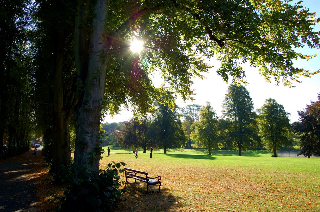 Abbey fields