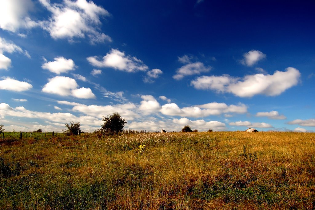 Looking towards Purluie lane near Kenilworth castle.