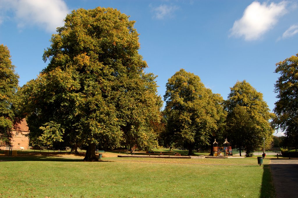 Kids play area near the Swimming pool in Abbey fields,Kenilworth