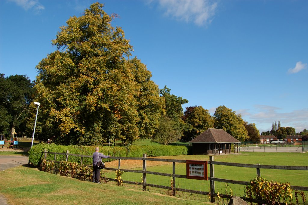 Bowling green in Abbey fields,Kenilworth