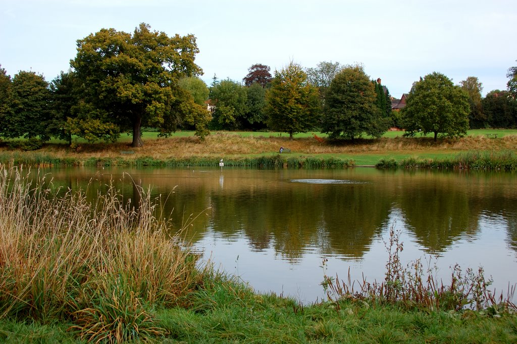 Lake in Abbey fields,Kenilworth