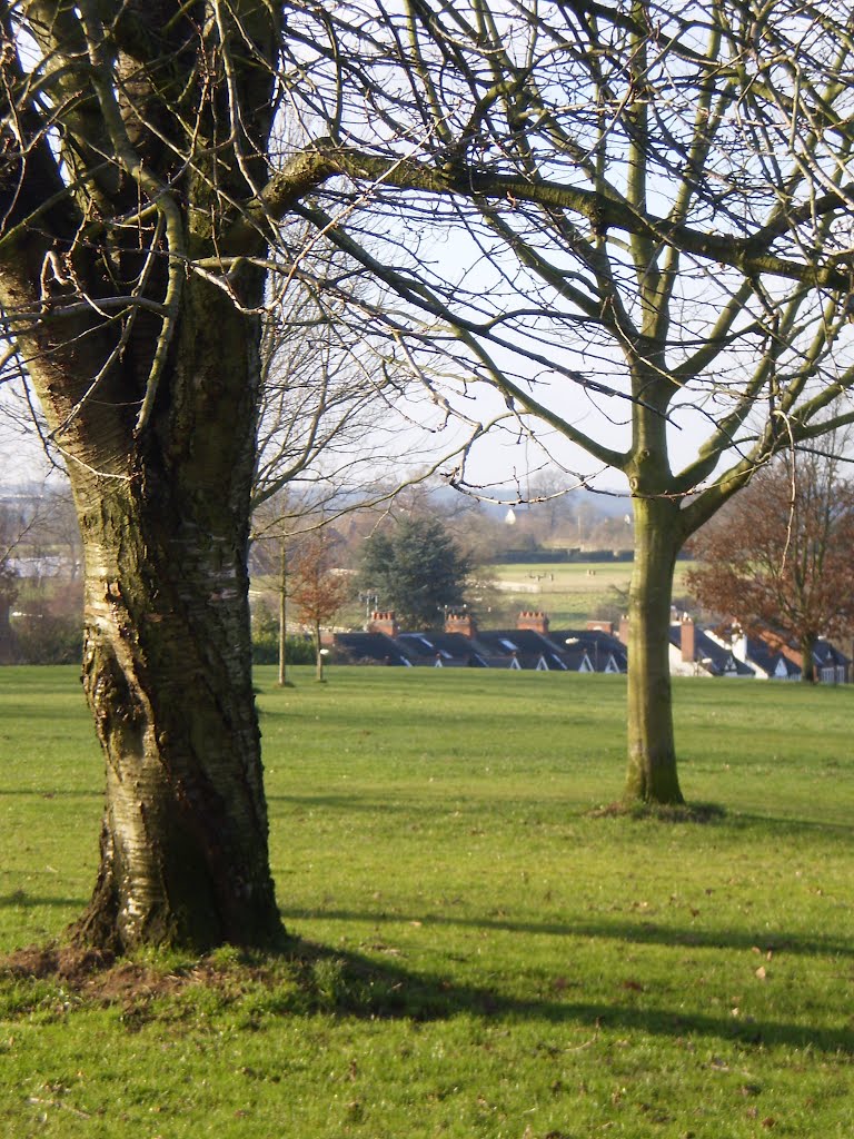 Abbey Fields, Kenilworth