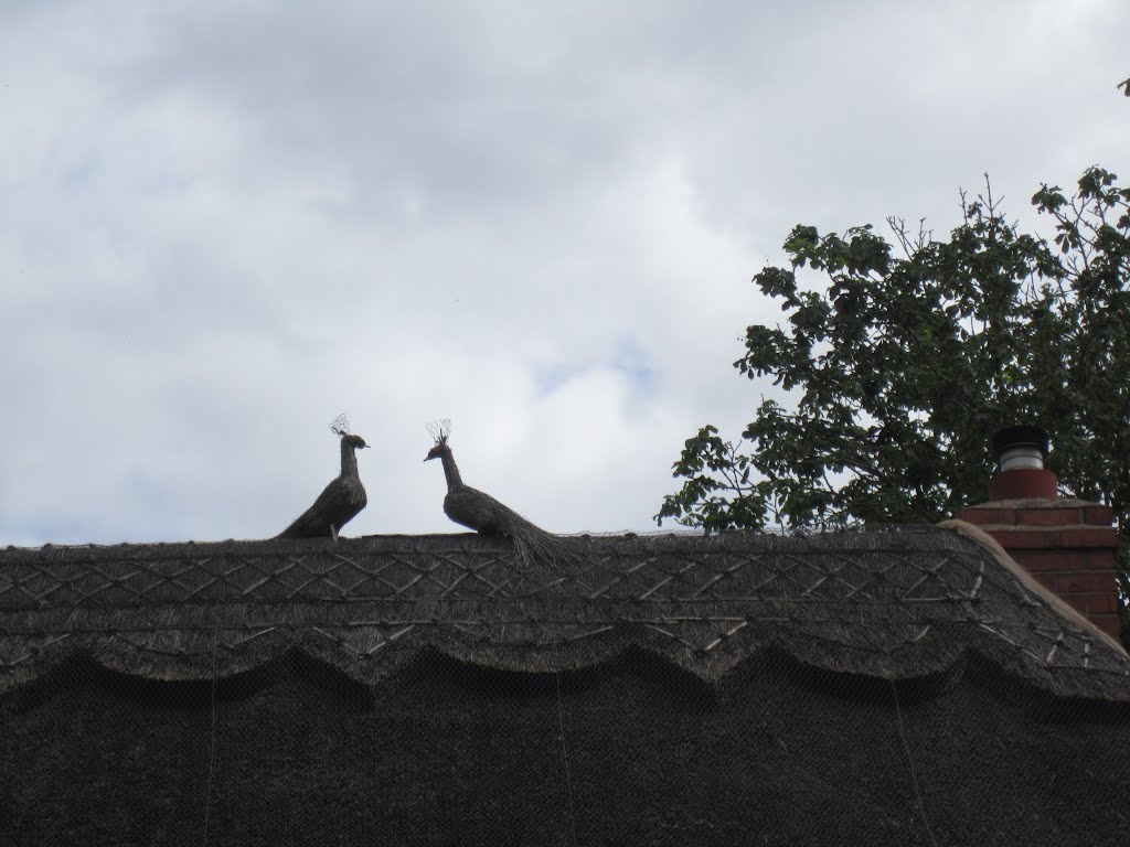 These two thatched peacocks will never show off.