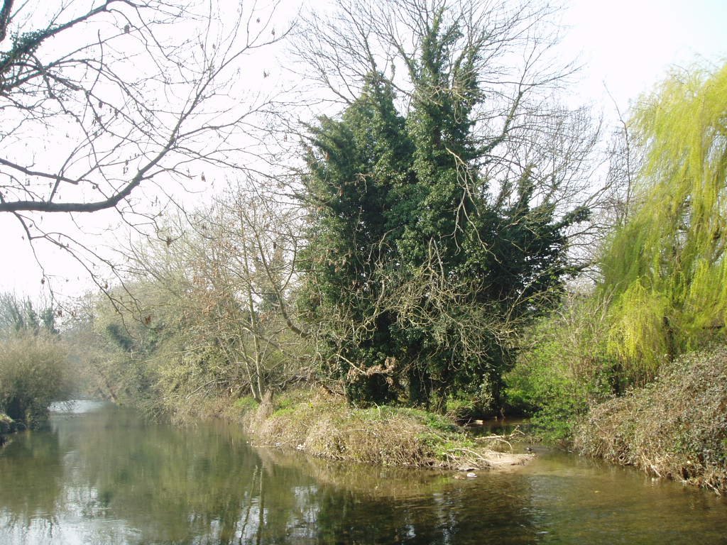 Riverside Walk