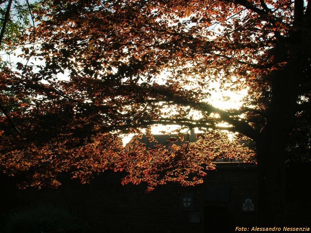 Canterbury - Westgate Gardens