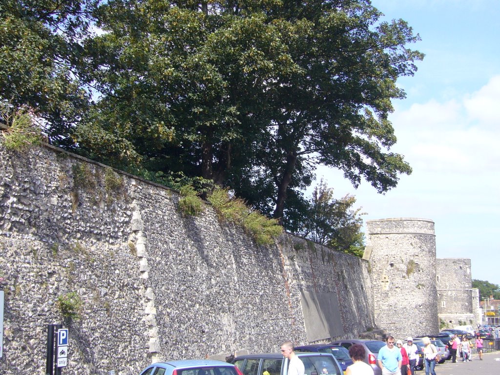 Wall