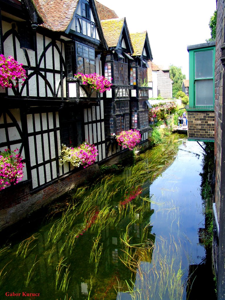 House and water... (Canterbury, UK)