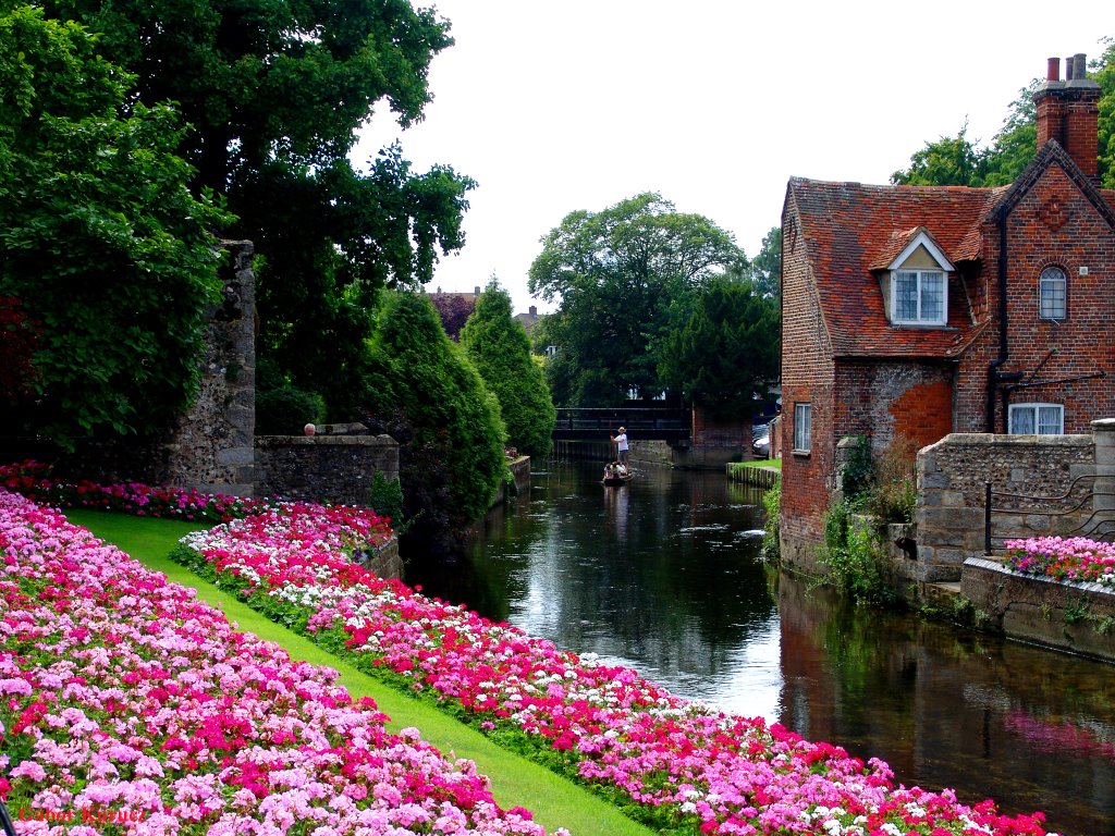 Canterbury (UK)