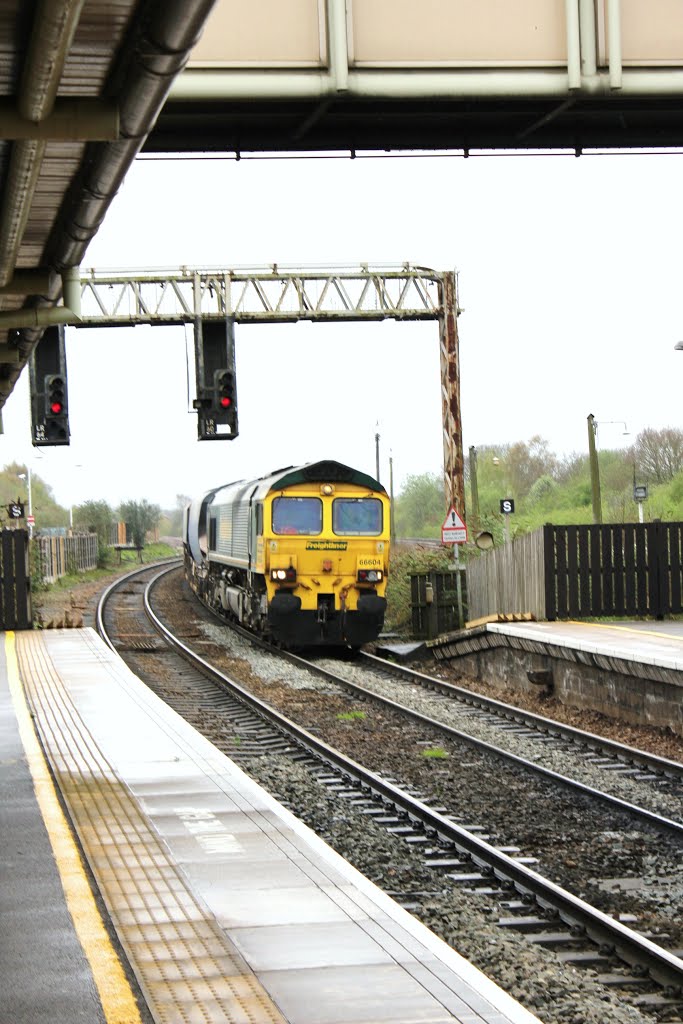 class 66