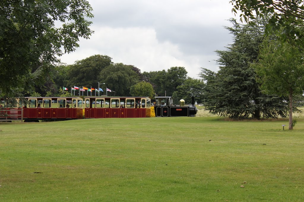 train