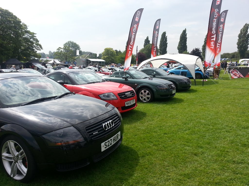 Audits in the Park 2012