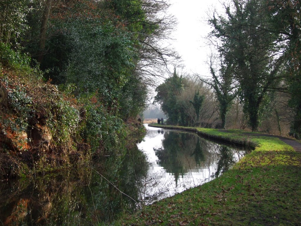 the canal