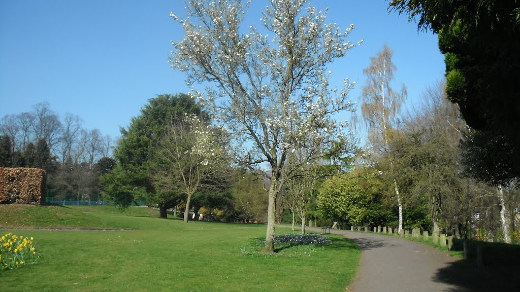 2012-03-28 park przy Stourport Road