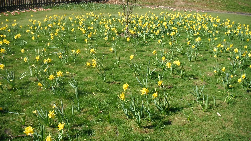 2012-03-28 park przy Stourport Road