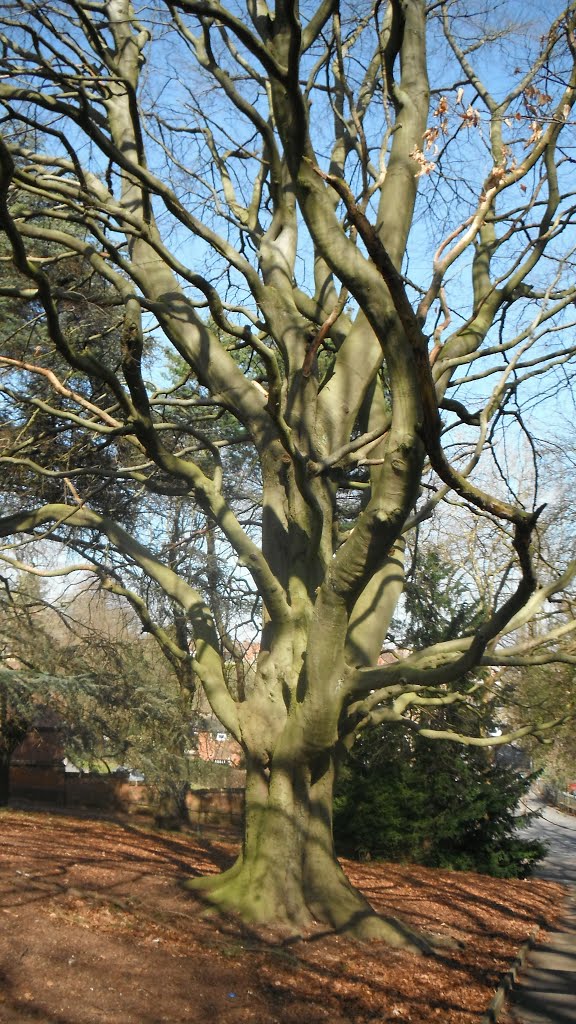 2012-03-28 park przy Stourport Road