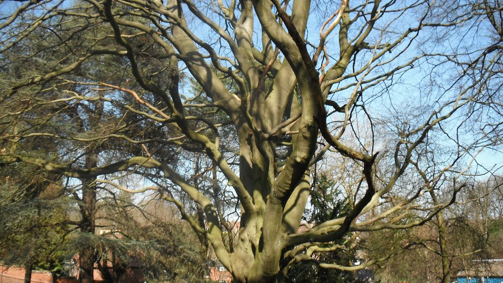 2012-03-28 park przy Stourport Road