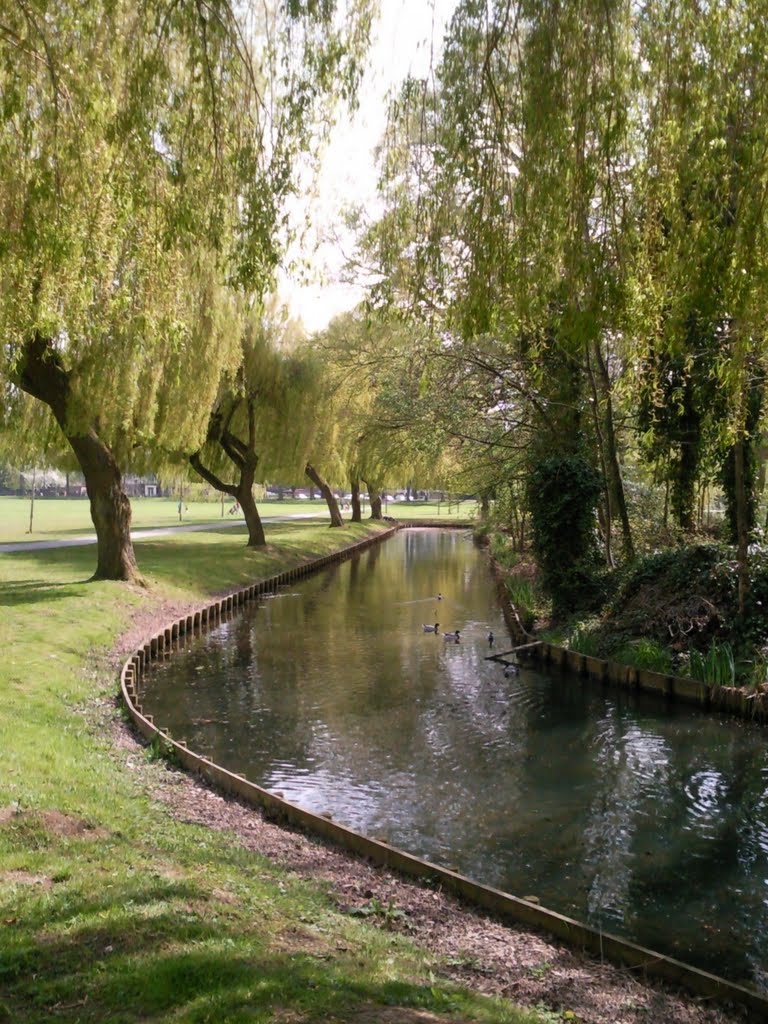 Kings lynn city park
