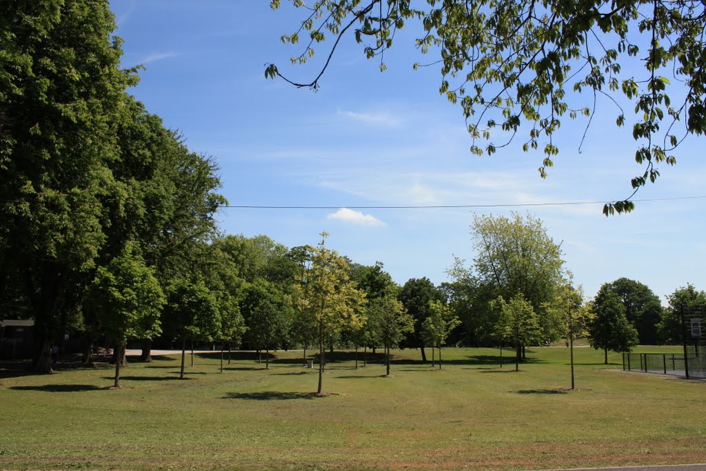 Kings Lynn ,Park