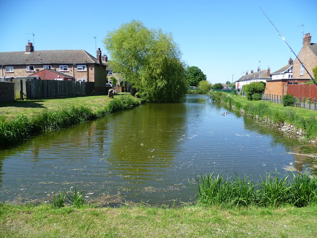 one of two long ponds off the loke road, kings lynn, norfolk. may 2012.