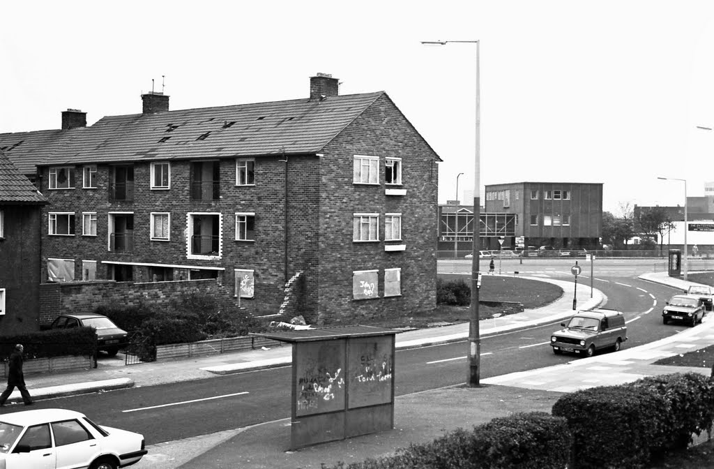 Flats, between Westhead Ave / County Rd - Kirkby
