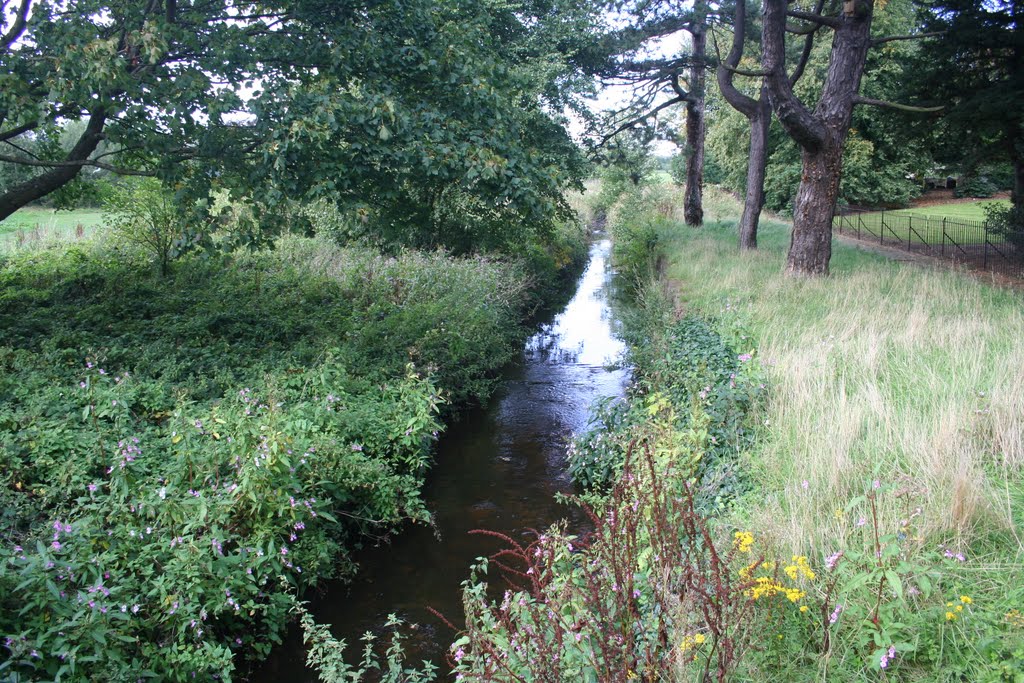 Mill Brook