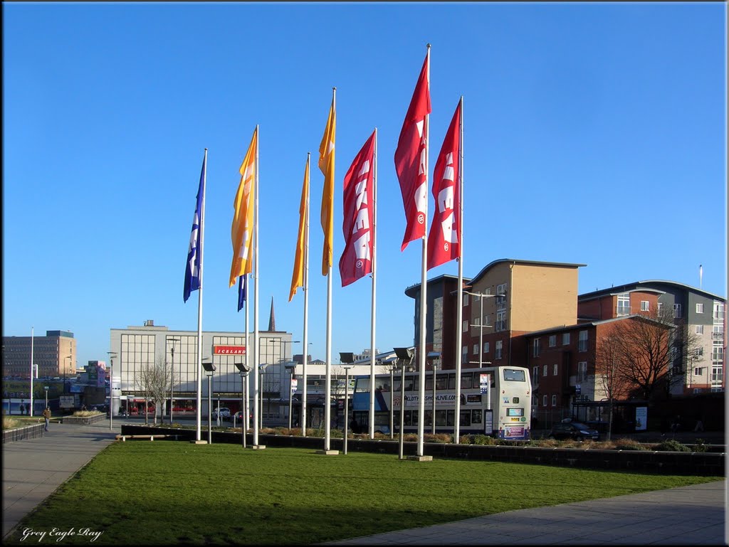 Flag Day